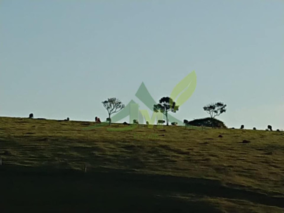 Imagem Fazenda à Venda, 1.573.000 m² em Centro - Joanópolis