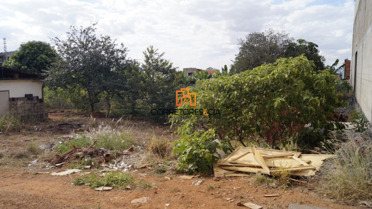 Imagem Terreno à Venda, 2.600 m² em Alto Do Ipiranga - Ribeirão Preto Imagem Terreno à Venda, 2.600 m² em Alto Do Ipiranga - Ribeirão Preto