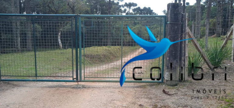 Imagem Chácara com 1 Quarto à Venda, 89.620 m² em Pedra Branca - Agudos Do Sul