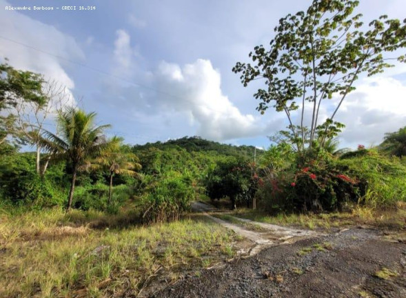 Imagem Terreno à Venda, 4 m² em Cabo - Cabo De Santo Agostinho