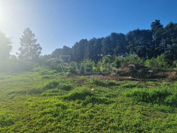 Imagem Terreno à Venda, 13.000 m² em Vila Camarão - Itapetininga Imagem Terreno à Venda, 13.000 m² em Vila Camarão - Itapetininga