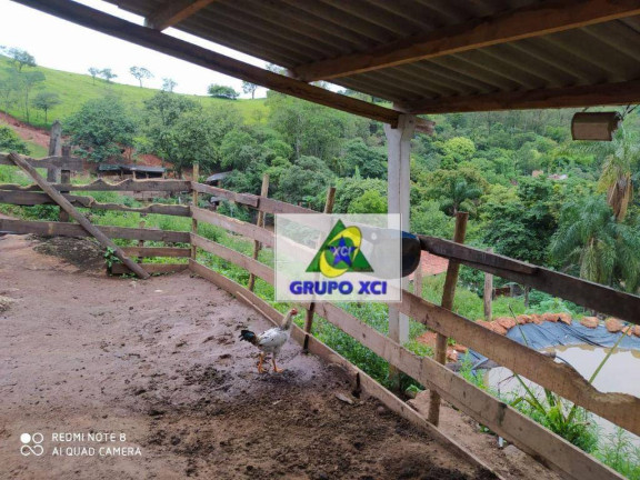 Imagem Fazenda à Venda, 70 m² em Cava - Pouso Alegre Imagem Fazenda à Venda, 70 m² em Cava - Pouso Alegre