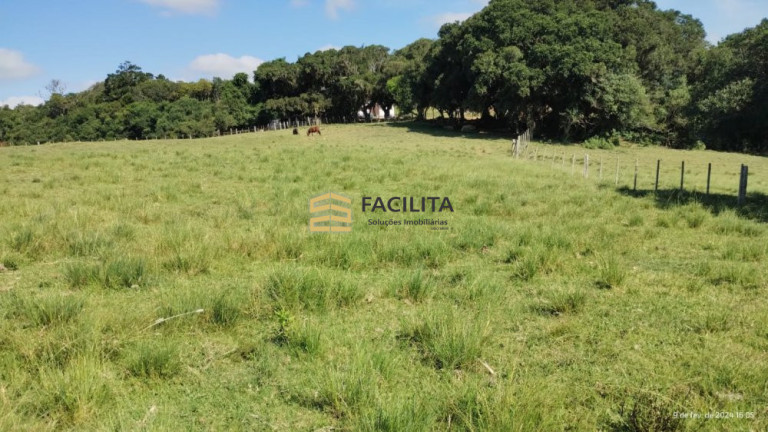 Imagem Imóvel com 2 Quartos à Venda, 180.000 m² em Capela Da Buena - Morro Redondo Imagem Imóvel com 2 Quartos à Venda, 180.000 m² em Capela Da Buena - Morro Redondo