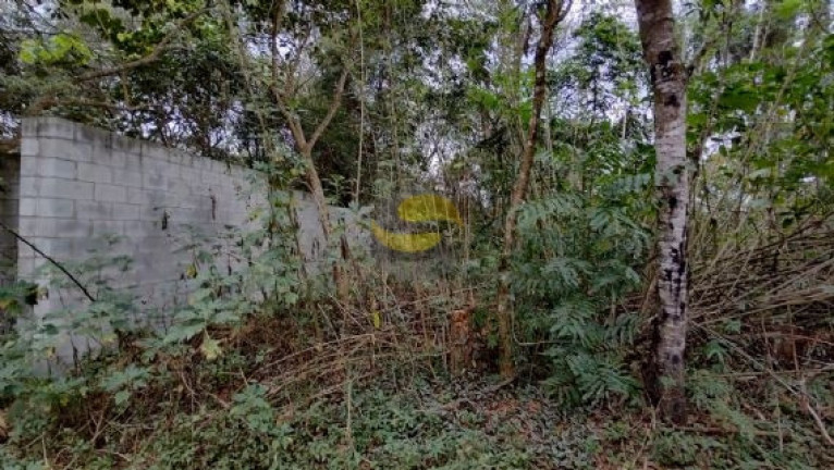 Imagem Terreno à Venda, 1.000 m² em Jardim Colibri - Cotia Imagem Terreno à Venda, 1.000 m² em Jardim Colibri - Cotia