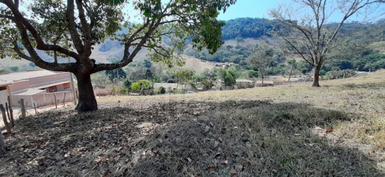 Imagem Imóvel com 1 Quarto à Venda, 2.156 m² em Bairro Marambaia (rural) - Bandeira Do Sul