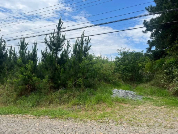 Imagem Terreno em Condomínio à Venda, 4 m² em Paisagem Renoir - Cotia Imagem Terreno em Condomínio à Venda, 4 m² em Paisagem Renoir - Cotia