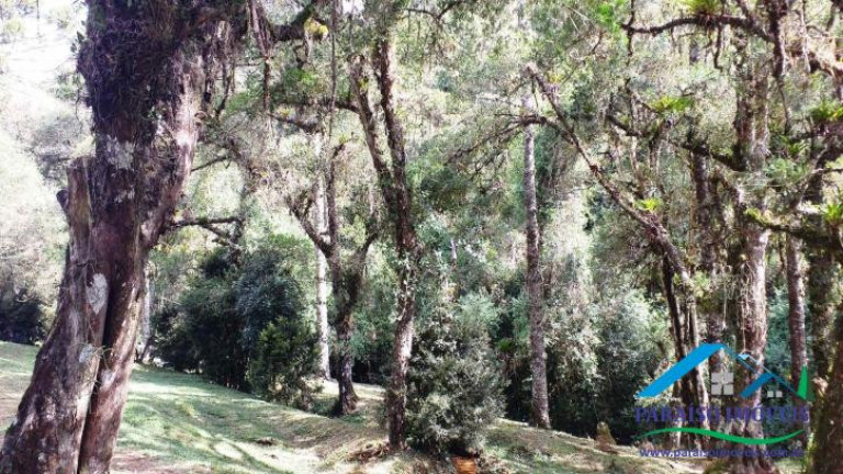 Imagem Chácara à Venda, 89 m² em Centro - Gonçalves Imagem Chácara à Venda, 89 m² em Centro - Gonçalves