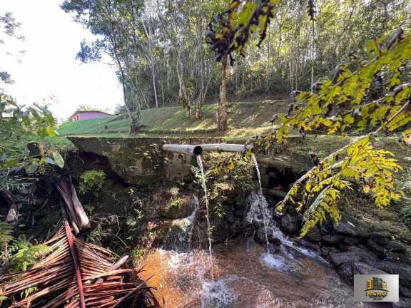 Imagem Imóvel com 3 Quartos à Venda, 40.000 m² em Bairro Dos Soares - Juquitiba Imagem Imóvel com 3 Quartos à Venda, 40.000 m² em Bairro Dos Soares - Juquitiba