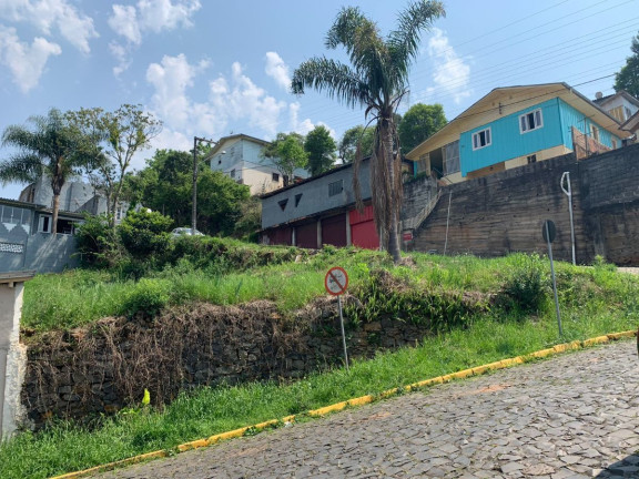 Terreno à Venda, 421 m² em Farroupilha - Videira