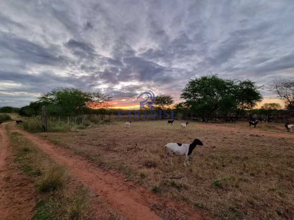 Fazenda à Venda, 2.551.000 m² em Centro - Santa Terezinha