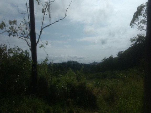 Imagem Terreno à Venda, 55.000 m² em Colônia (zona Leste) - São Paulo Imagem Terreno à Venda, 55.000 m² em Colônia (zona Leste) - São Paulo