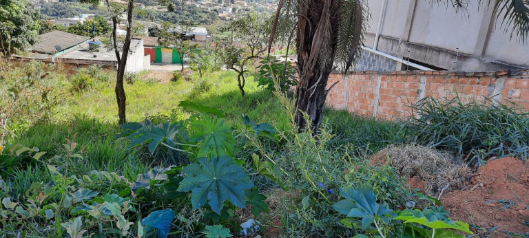 Imagem Terreno à Venda, 360 m² em Santa Cecília - Esmeraldas Imagem Terreno à Venda, 360 m² em Santa Cecília - Esmeraldas
