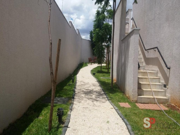 Imagem Apartamento com 3 Quartos à Venda, 67 m² em Vila Mazzei - São Paulo