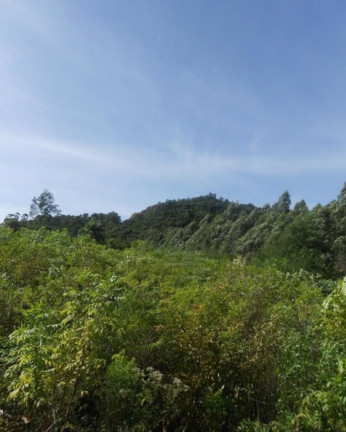 Imagem Terreno à Venda, 7 m² em Lichthenthal - Picada Café