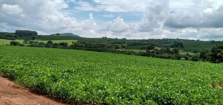 Imagem Chácara à Venda, em Centro - Itamogi Imagem Chácara à Venda, em Centro - Itamogi