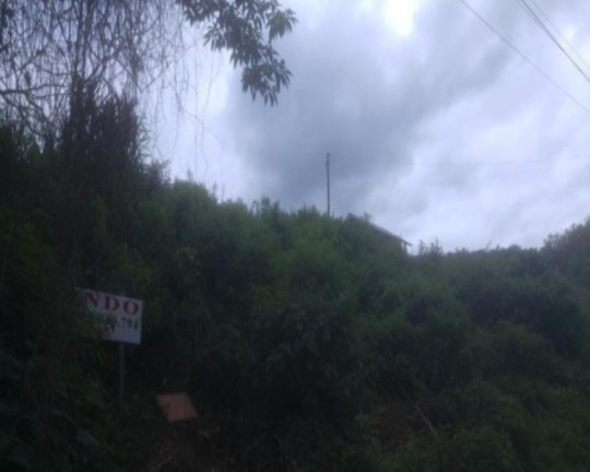 Imagem Terreno à Venda, 1.400 m² em Vila Olinda - Nova Petrópolis Imagem Terreno à Venda, 1.400 m² em Vila Olinda - Nova Petrópolis