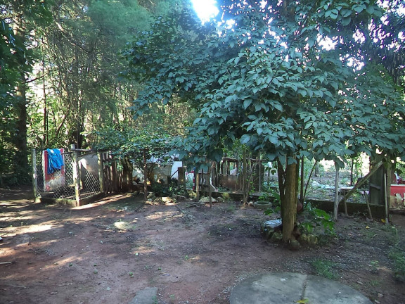 Imagem Chácara com 7 Quartos à Venda, 25.000 m² em Roseira - Piedade