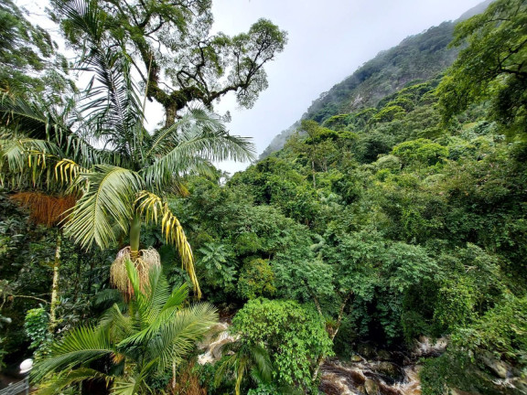 Imagem Casa com 6 Quartos à Venda, 410 m² em Granja Guarani - Teresópolis Imagem Casa com 6 Quartos à Venda, 410 m² em Granja Guarani - Teresópolis