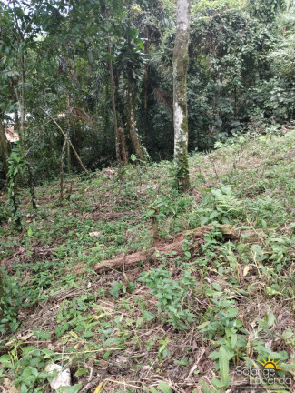 Terreno à Venda, 700 m² em Felix - Ubatuba
