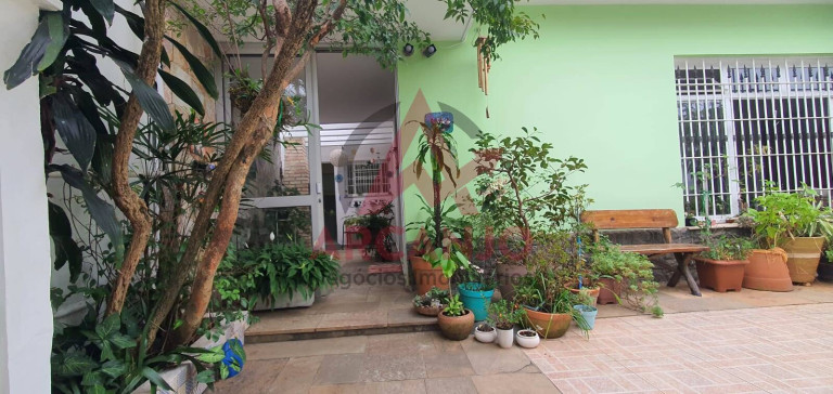 Imagem Casa com 4 Quartos à Venda, 300 m² em Vila Albertina - São Paulo