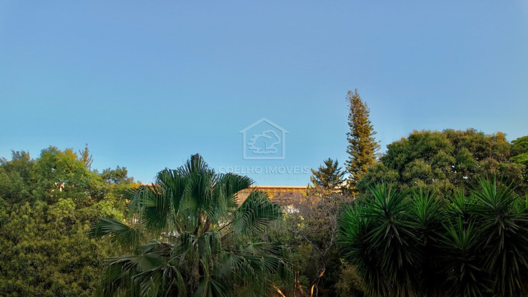 Imagem Apartamento com 4 Quartos à Venda, 171 m² em Asa Sul - Brasília Imagem Apartamento com 4 Quartos à Venda, 171 m² em Asa Sul - Brasília