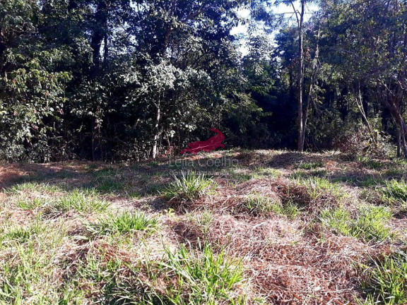 Imagem Terreno à Venda, 1.000 m² em Aroucas - Bonfim Imagem Terreno à Venda, 1.000 m² em Aroucas - Bonfim