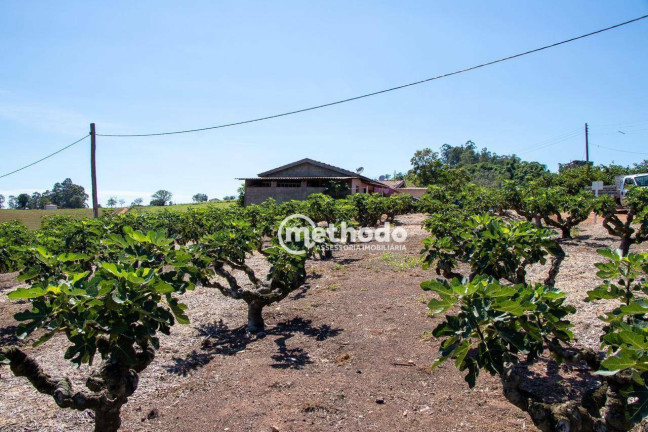 Imóvel à Venda, 56.785 m² em Feital - Morungaba