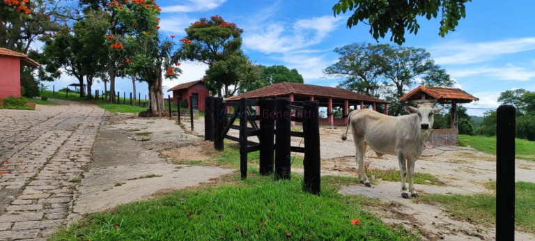 Imagem Imóvel com 7 Quartos à Venda, 1.297.120 m² em Vila Bom Jesus - Sorocaba Imagem Imóvel com 7 Quartos à Venda, 1.297.120 m² em Vila Bom Jesus - Sorocaba