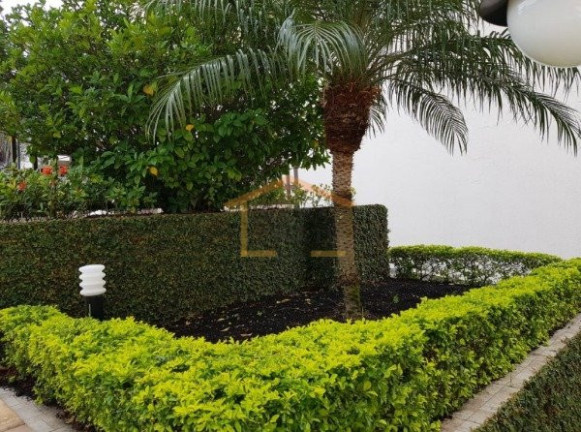 Imagem Apartamento com 3 Quartos à Venda, 67 m² em Parada Inglesa - São Paulo Imagem Apartamento com 3 Quartos à Venda, 67 m² em Parada Inglesa - São Paulo