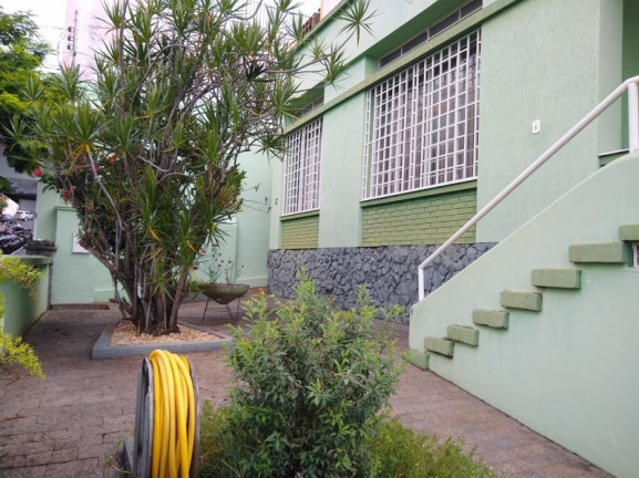 Imagem Casa com 3 Quartos à Venda, 369 m² em Centro - Jacarezinho Imagem Casa com 3 Quartos à Venda, 369 m² em Centro - Jacarezinho