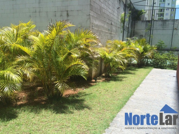 Imagem Apartamento com 2 Quartos à Venda, 56 m² em Vila Amélia - São Paulo