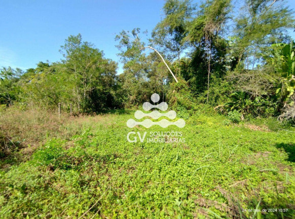Terreno à Venda, 1.656 m² em Praia Dura - Ubatuba