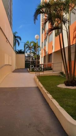 Imagem Apartamento com 3 Quartos à Venda, 75 m² em Demarchi - São Bernardo Do Campo Imagem Apartamento com 3 Quartos à Venda, 75 m² em Demarchi - São Bernardo Do Campo