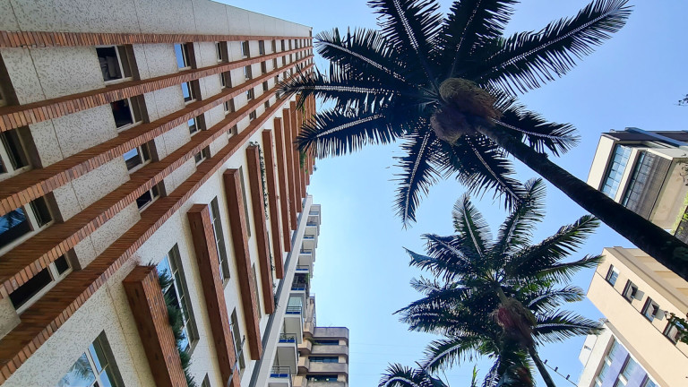 Imagem Apartamento com 3 Quartos à Venda, 289 m² em Higienópolis - São Paulo Imagem Apartamento com 3 Quartos à Venda, 289 m² em Higienópolis - São Paulo
