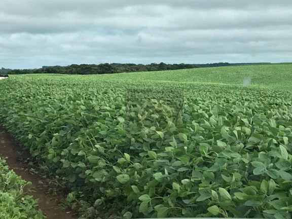 Imagem Fazenda à Venda, 6.921.200 m² em Zona Rural - Candói