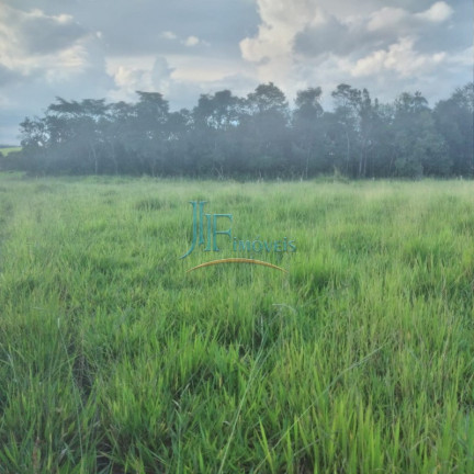 Imagem Imóvel com 4 Quartos à Venda, 105.000 m² em Centro - Cajuru