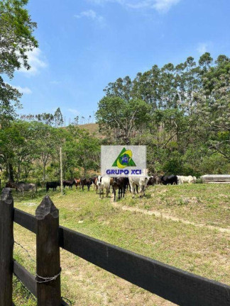 Imagem Fazenda à Venda, 1.452.000 m² em Cruz - Lorena Imagem Fazenda à Venda, 1.452.000 m² em Cruz - Lorena