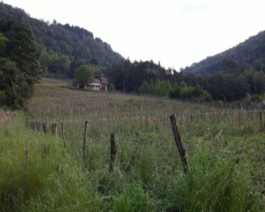 Imagem Terreno à Venda, 8.700 m² em 9 Colônias - Nova Petrópolis Imagem Terreno à Venda, 8.700 m² em 9 Colônias - Nova Petrópolis