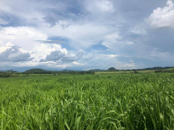 Imagem Fazenda à Venda, em Juara Imagem Fazenda à Venda, em Juara