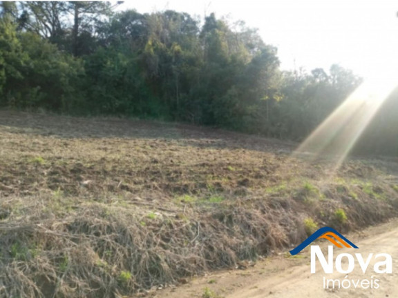 Imagem Imóvel à Venda, 11.918 m² em Linha Araripe - Nova Petrópolis