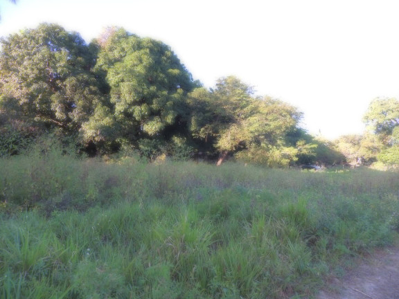 Imagem Terreno à Venda, 13 m² em Camará - Aquiraz Imagem Terreno à Venda, 13 m² em Camará - Aquiraz