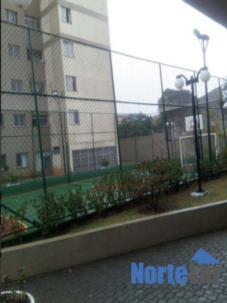 Imagem Apartamento com 3 Quartos à Venda, 66 m² em Limão - São Paulo