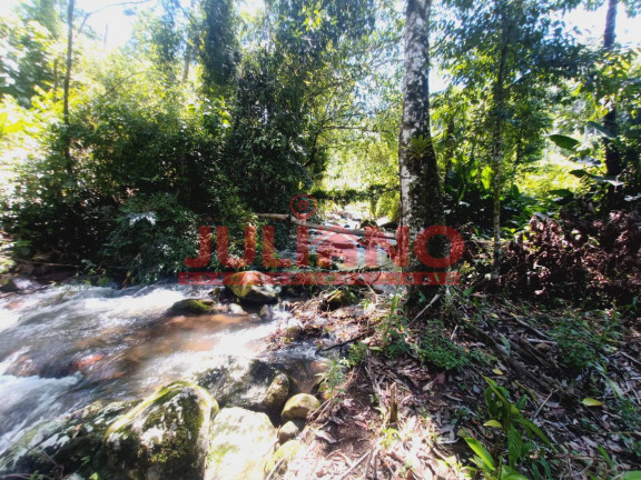 Imagem Chácara à Venda, 13.000 m² em Rio Natal - São Bento Do Sul Imagem Chácara à Venda, 13.000 m² em Rio Natal - São Bento Do Sul