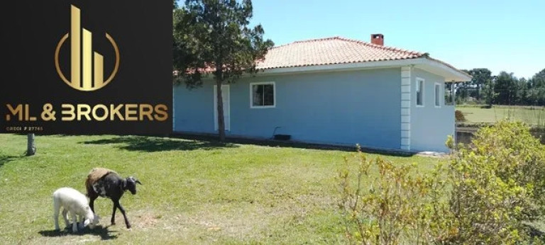 Imóvel com 3 Quartos à Venda, 5.000 m² em Cotia - São José Dos Pinhais