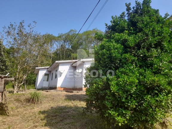 Imagem Fazenda à Venda, 130 m² em Interior - Chapeco