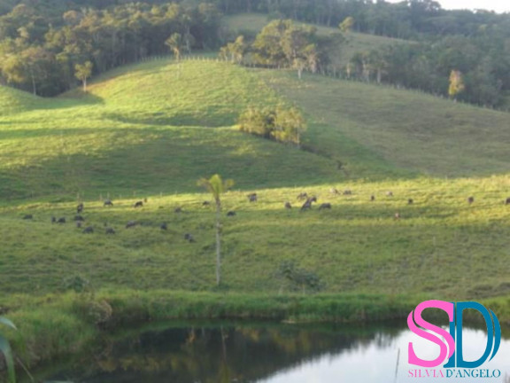 Imagem Fazenda à Venda, 194 m² em Vila Aparecida - Suzano