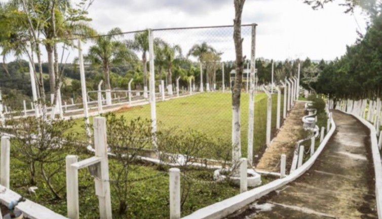 Imagem Imóvel com 3 Quartos à Venda, 36.300 m² em Roça Velha - São José Dos Pinhais Imagem Imóvel com 3 Quartos à Venda, 36.300 m² em Roça Velha - São José Dos Pinhais