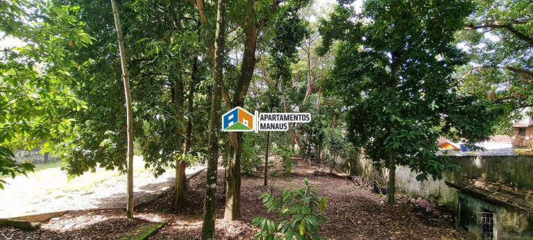 Imagem Terreno à Venda, 4.000 m² em Aleixo - Manaus Imagem Terreno à Venda, 4.000 m² em Aleixo - Manaus