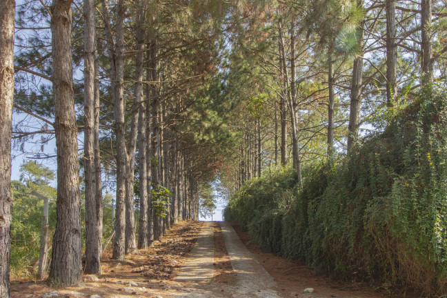 Fazenda à Venda, 72.600 m² em Centro - Araçariguama