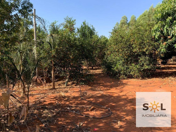 Imagem Chácara com 2 Quartos à Venda, 294.000 m² em Zona Rural - Bela Vista De Goiás Imagem Chácara com 2 Quartos à Venda, 294.000 m² em Zona Rural - Bela Vista De Goiás